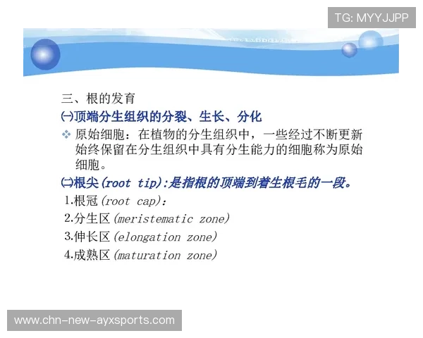琜员如何通过心理辅导提升连续轮换比赛的稳定性