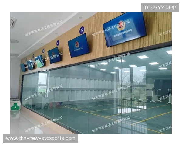电子靶系统:射击射箭告别人工裁判,电子靶子