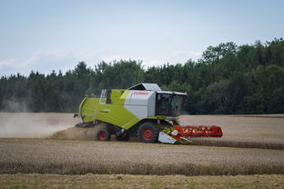 爱游戏官网app-田径跨项目交流营探索协同训练新方式，田径跨栏的动作讲解