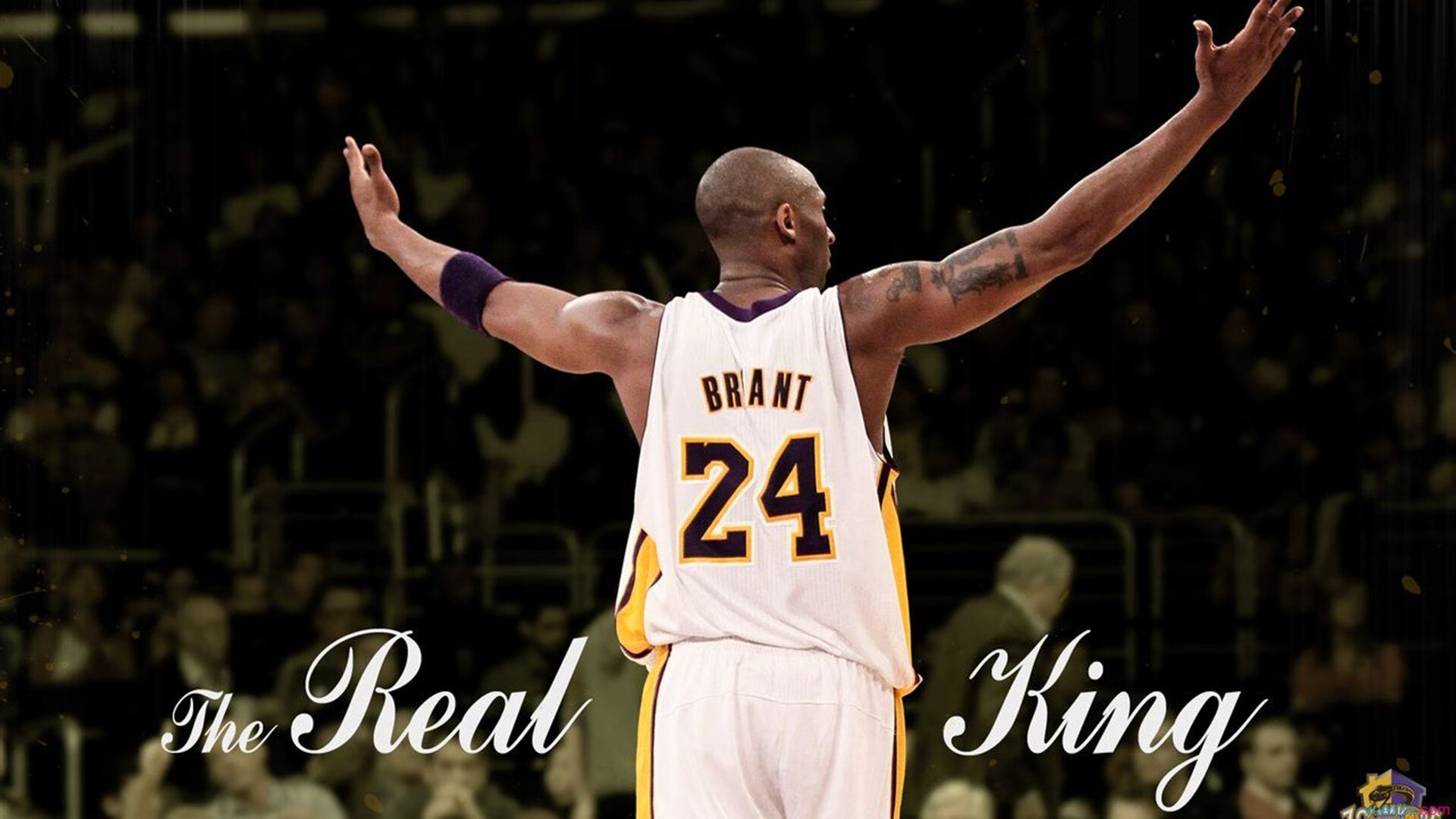 图穆亚在比赛中的全能表现,成为袋鼠队不可或缺的核心,穆拉德忠·图伊奇耶夫